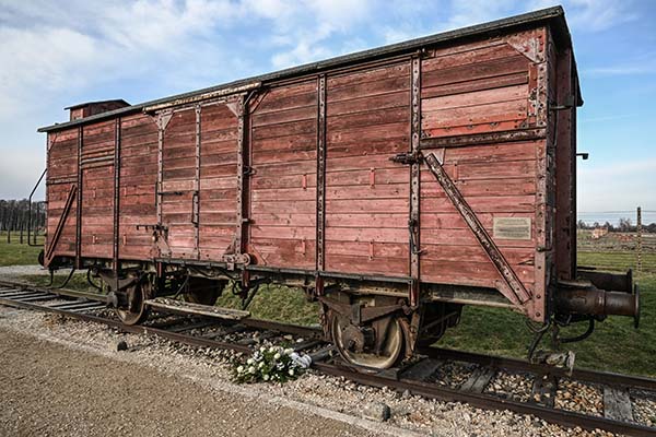 Excursion Auschwitz-Birkenau